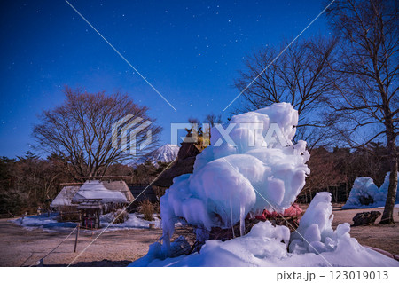 【山梨県】星降る夜の西湖野鳥の森公園、氷のオブジェと富士山 123019013