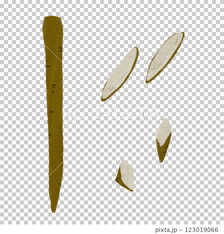 手繪彩色插圖集各種切割牛蒡的方法 123019066