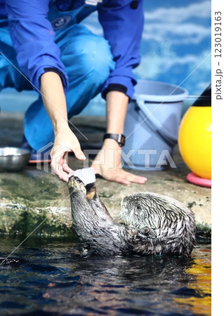 マリンワールド海ノ中道のリロくん マリンワールド海ノ中道のリロくん 123019163