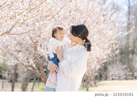 満開の桜を見る親子 123019191