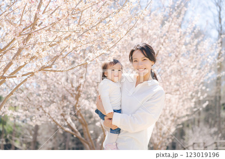 満開の桜を見る親子 123019196
