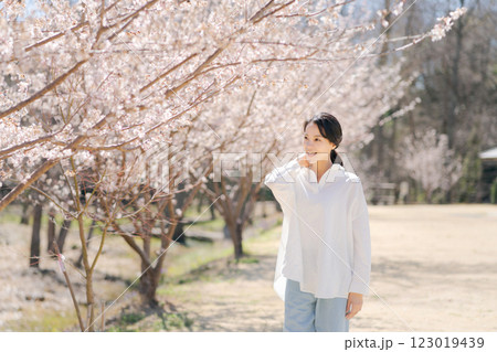 桜並木を散歩する若い女性 123019439