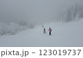 スキーをする人 123019737