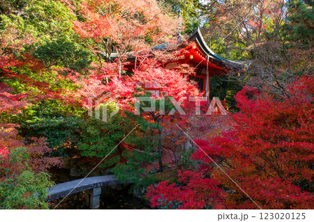 Beautiful pagoda by bridge in fall garden, Bishamondo temple, Kyoto Beautiful pagoda by bridge in fall garden, Bishamondo temple, Kyoto 123020125