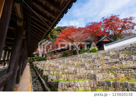 Wood Corridor with autumn maple garden of Hasedera Temple, Nara 123020138