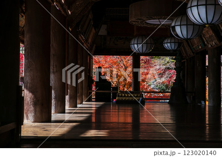 Buddha statue with hand gesture in Hasedera temple at autumn, Nara Buddha statue with hand gesture in Hasedera temple at autumn, Nara 123020140