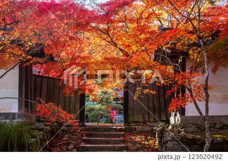 Wood gate with fall maple leaves at Nisonin Temple, Arashiyama 123020492