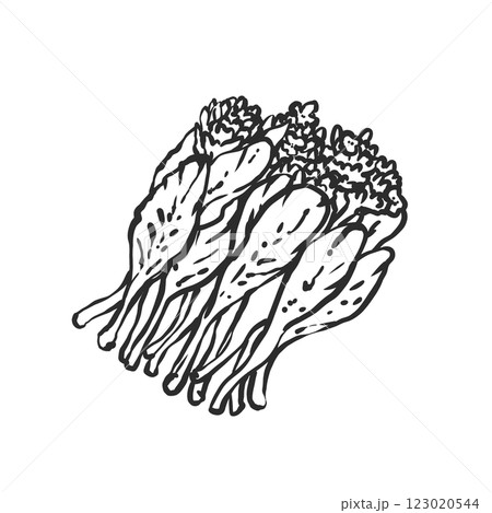 菜の花の手描き筆絵風イラスト 菜の花の手描き筆絵風イラスト 123020544