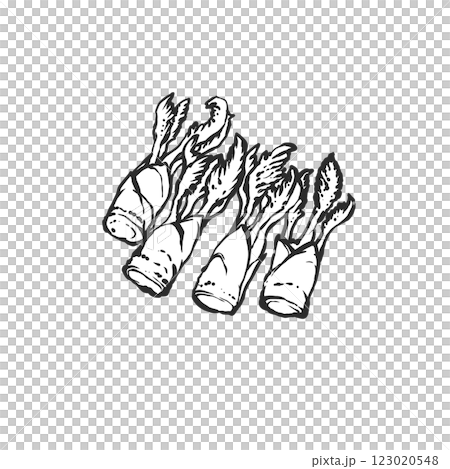 タラの芽の手描き筆絵風イラスト 123020548