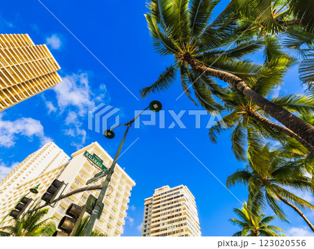 ハワイイメージ　ワイキキのメインストリート　カラカウア通り 123020556