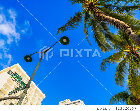 ハワイイメージ　ワイキキのメインストリート　カラカウア通り 123020557