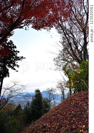 秋の王地山展望台 123020561