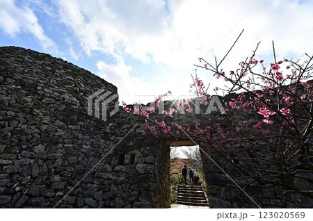 今帰仁城跡の景色 今帰仁城跡の景色 123020569