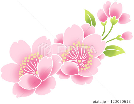 ピンク色の桜の花のイラスト素材 123020618