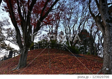 秋の王地山展望台 123020700