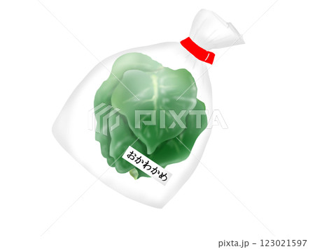 袋に入ったオカワカメの葉の手描きイラスト 123021597