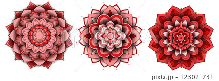 Intricate Red Floral Mandala Designs 123021731