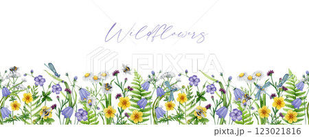 Meadow wildflowers seamless border decor watercolor painted illustration. Hand drawn chamomile, bluebell, bumblebee, dragonfly on blooming summer flowers elegant decoration on white background 123021816