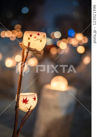 北海道　小樽　雪あかりの路　アイスキャンドル　冬　小樽運河 123021996