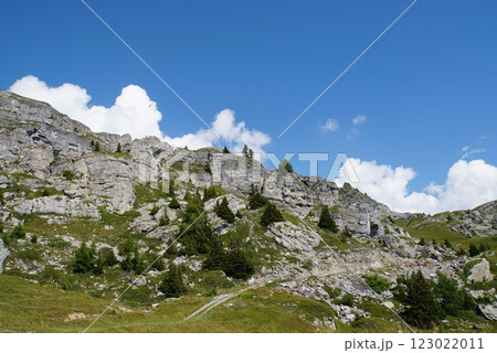 スイスのトレックコースの風景 スイスのトレックコースの風景 123022011