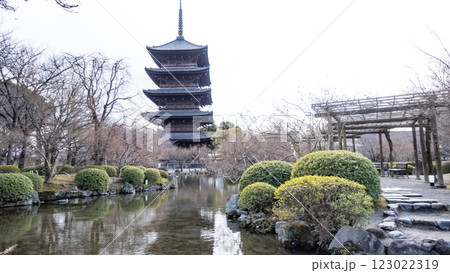 東寺　五重塔　国宝　東寺国宝五重塔　建築　寺社　仏閣　聖地　京都 123022319