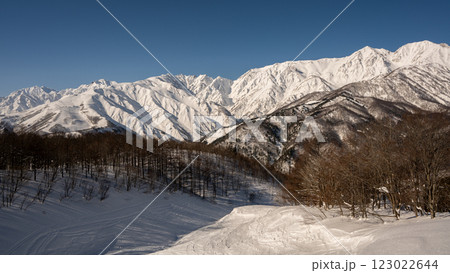 冬の北アルプスと山並み　長野県白馬村 123022644