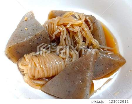 こんにゃくとシラタキの煮物 こんにゃくとシラタキの煮物 123022911