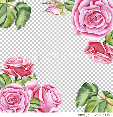 Watercolor roses. Frame of rose flowers, stems, leaves and buds. Hand-drawn watercolor painting on isolated background. Illustration for your design Watercolor roses. Frame of rose flowers, stems, leaves and buds. Hand-drawn watercolor painting on isolated background. Illustration for your design 123023119