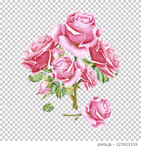 Watercolor roses. Isolated image of rose flowers, stems, leaves and buds. The drawing is done in watercolor technique by hand on an isolated background. Illustration for your design Watercolor roses. Isolated image of rose flowers, stems, leaves and buds. The drawing is done in watercolor technique by hand on an isolated background. Illustration for your design 123023139