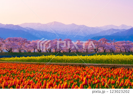 あさひ舟川・春の四重奏 123023202