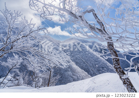 樹氷輝く赤城山のスノーハイク 123023222