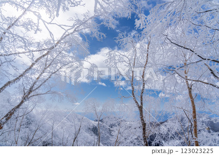 樹氷輝く赤城山のスノーハイク 123023225
