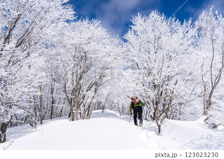 樹氷輝く赤城山のスノーハイク 樹氷輝く赤城山のスノーハイク 123023230