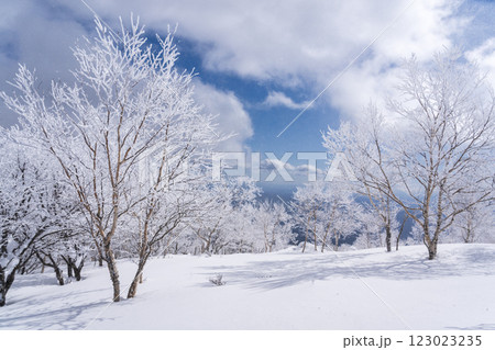 樹氷輝く赤城山のスノーハイク 樹氷輝く赤城山のスノーハイク 123023235
