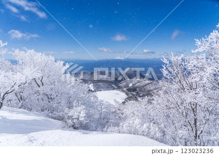 樹氷輝く赤城山のスノーハイク 123023236