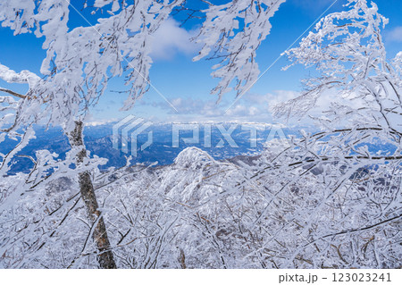 樹氷輝く赤城山のスノーハイク 樹氷輝く赤城山のスノーハイク 123023241
