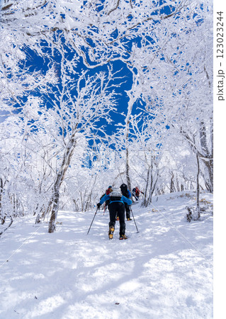 樹氷輝く赤城山のスノーハイク 樹氷輝く赤城山のスノーハイク 123023244