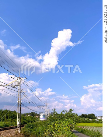 電車の走る夏の風景　何かに似ている雲　蛇 123023318