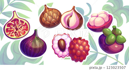 Tropical whole and cut fruit set 123023507