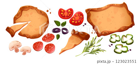 Cartoon pizza toppings set top view 123023551