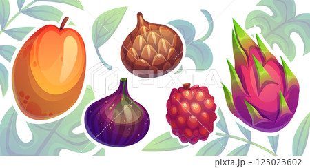 Tropical fruits composition 123023602