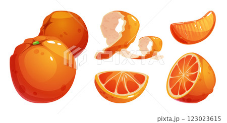 Orange set with peeled citrus elements 123023615
