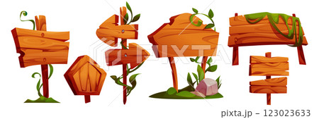 Wooden signboard collection with jungle elements Wooden signboard collection with jungle elements 123023633