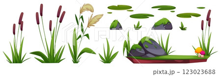 Wetland nature collection 123023688