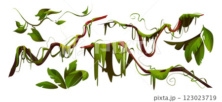 Jungle liana set with twisted green vines Jungle liana set with twisted green vines 123023719