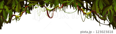 Liana vine arch isolated on white 123023818