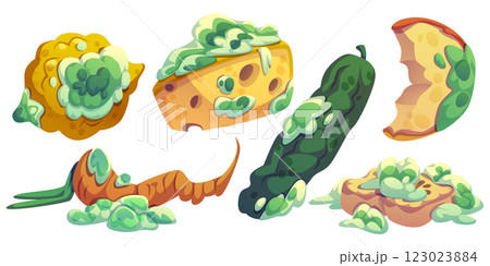 Rotten food set 123023884