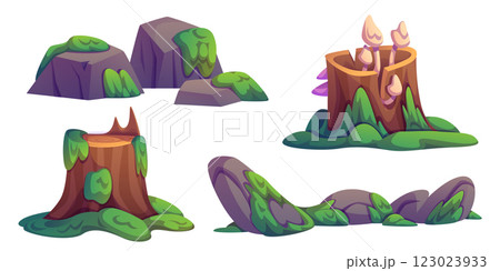Swamp stones and stumps covered with moss 123023933