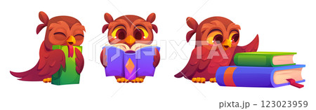 Reading owls set isolated on white background 123023959