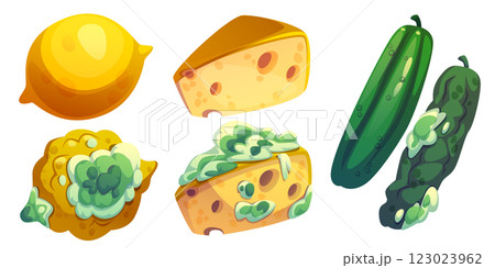 Rotten food set isolated on white background 123023962